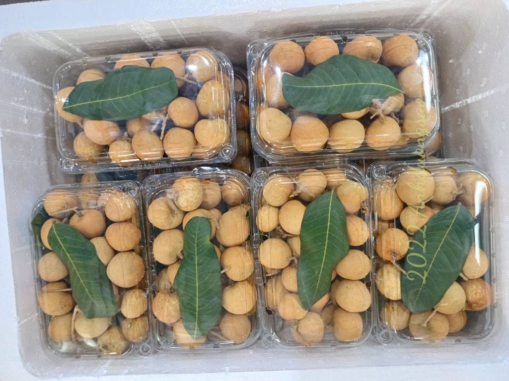 Mô hình liên kết chuỗi giá trị nông sản