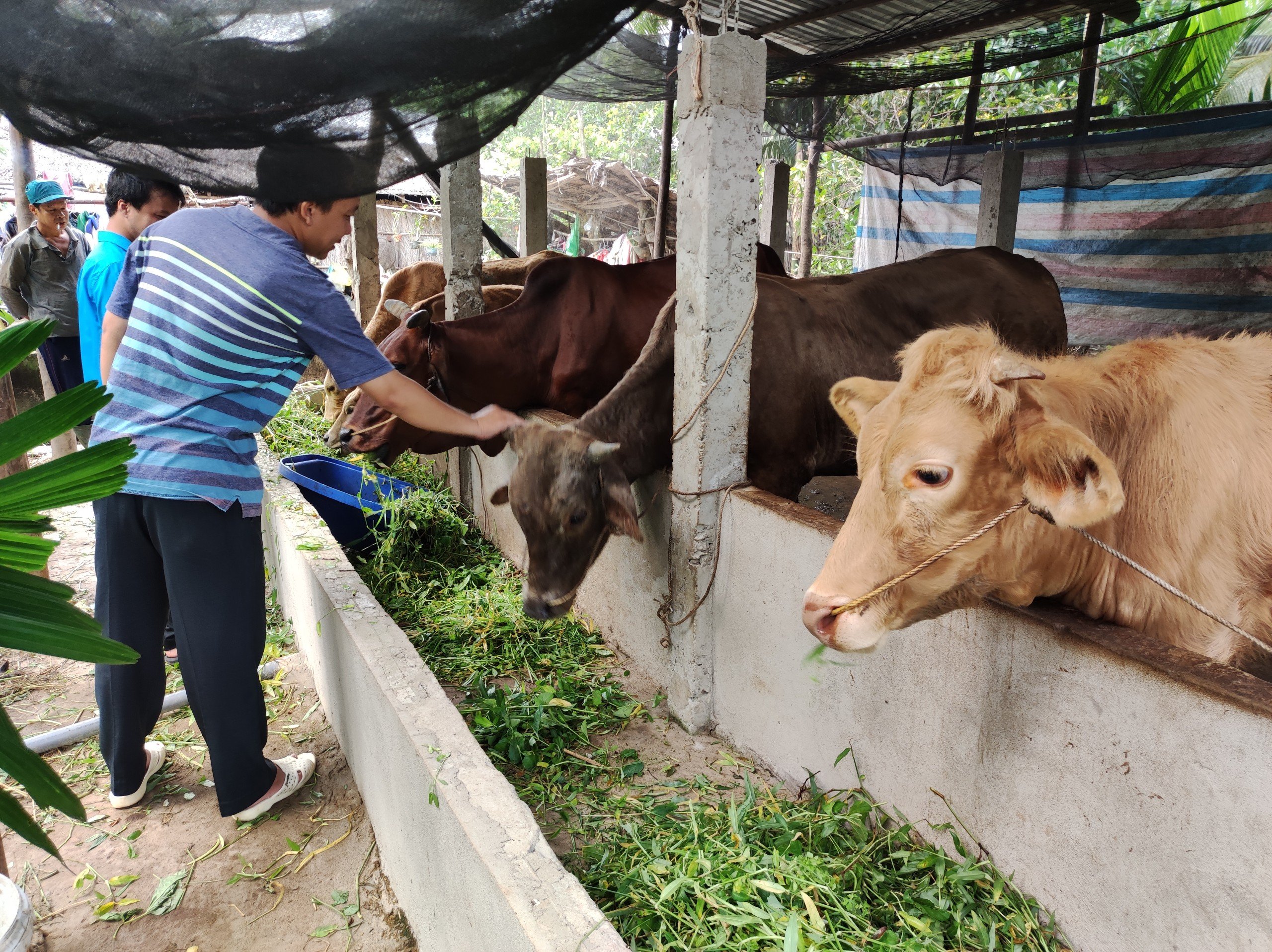 Kiểm tra việc triển khai thực hiện chương trình giảm nghèo bền vững