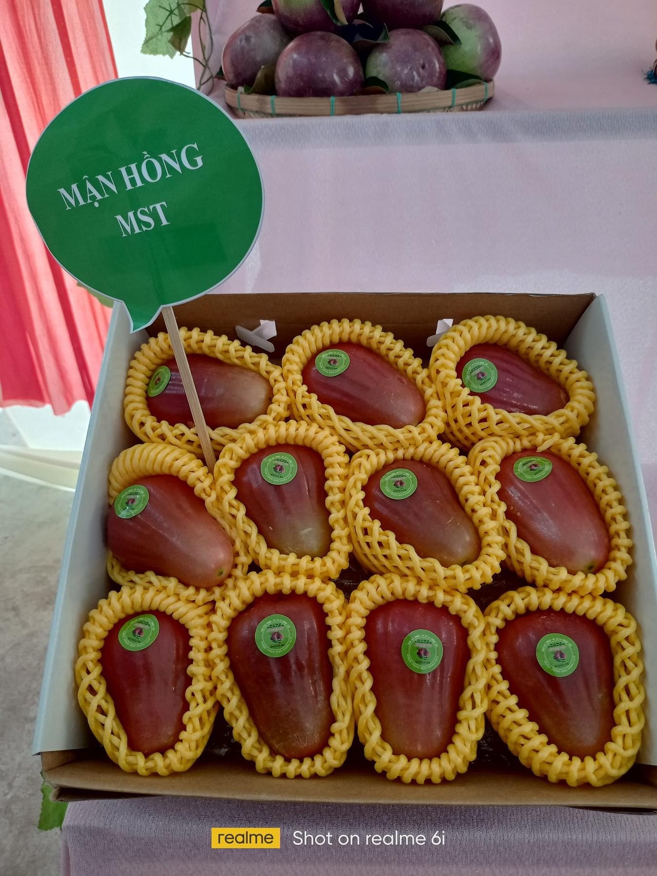 Mận hồng MST