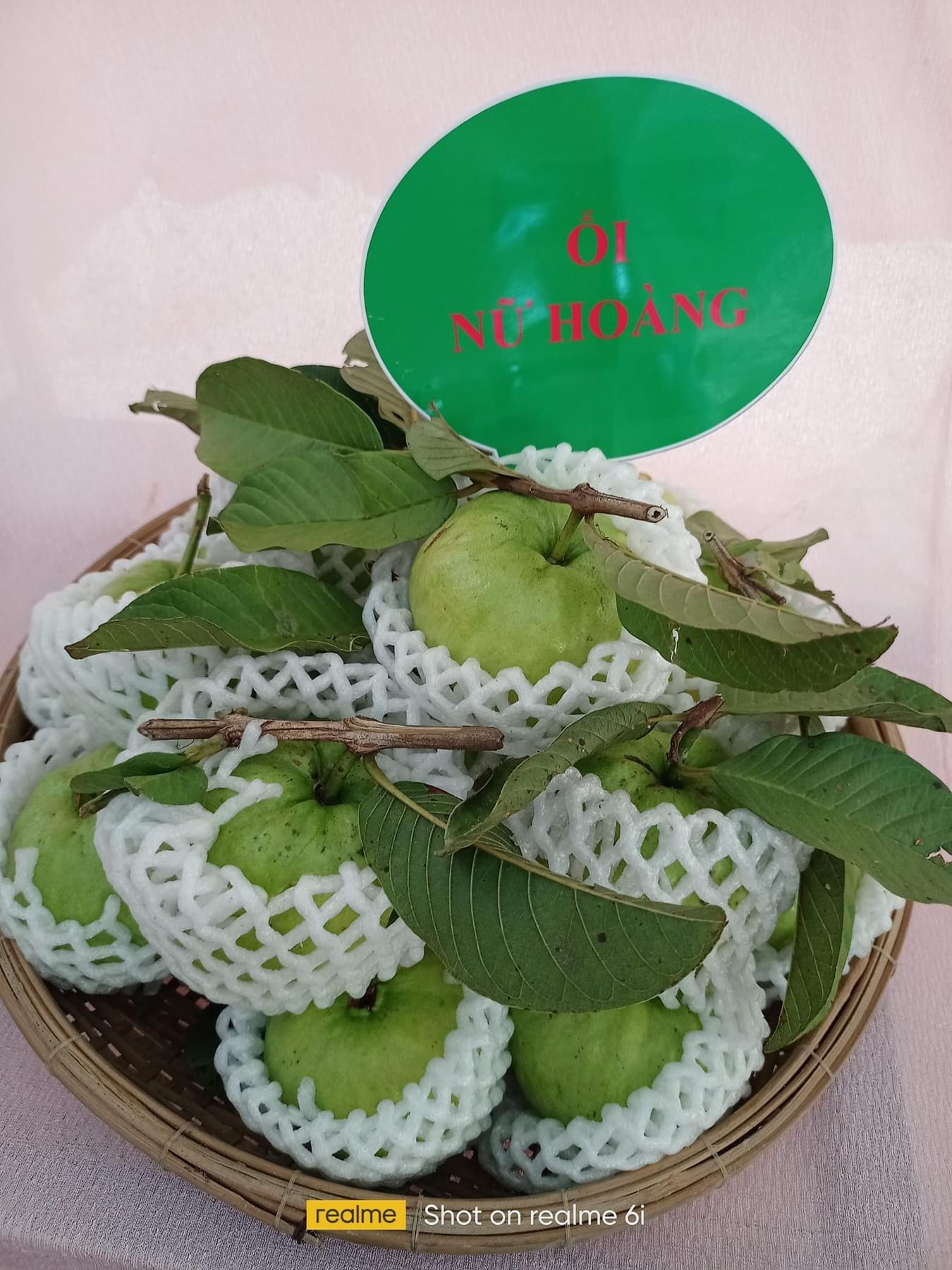 Ổi nữ hoàng