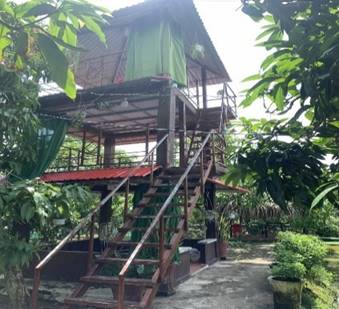Điểm tham quan vườn xoài